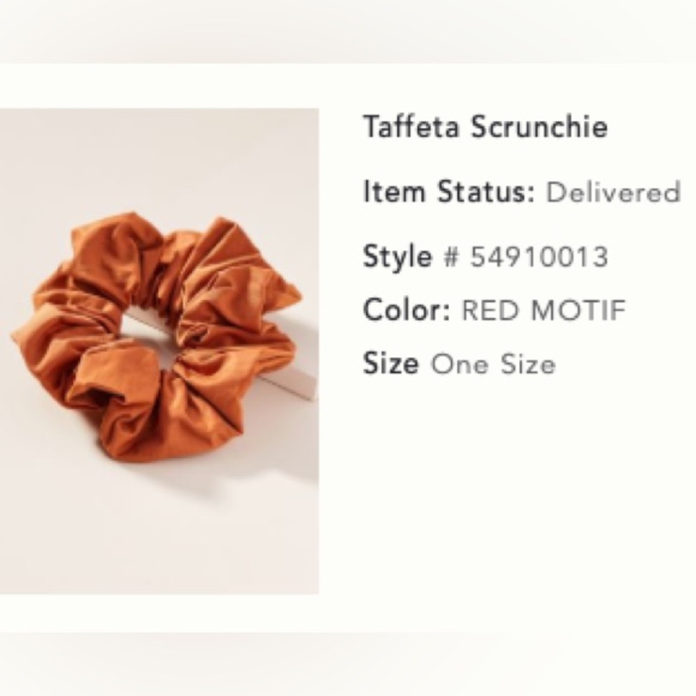 Anthropologie Scrunchie